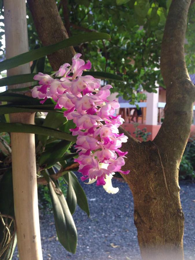 Chuanchom Resort Phatthalung Bagian luar foto